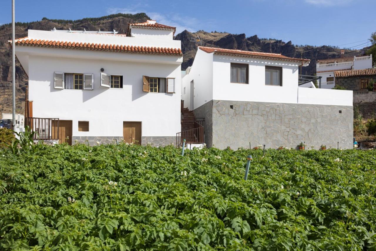 Casa Isabela With Roque Nublo View Apartment Tejeda  Exterior photo